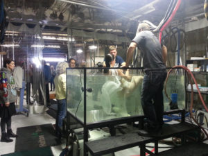 On Set Medics with Stunts